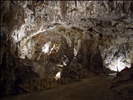 Postojna Cave